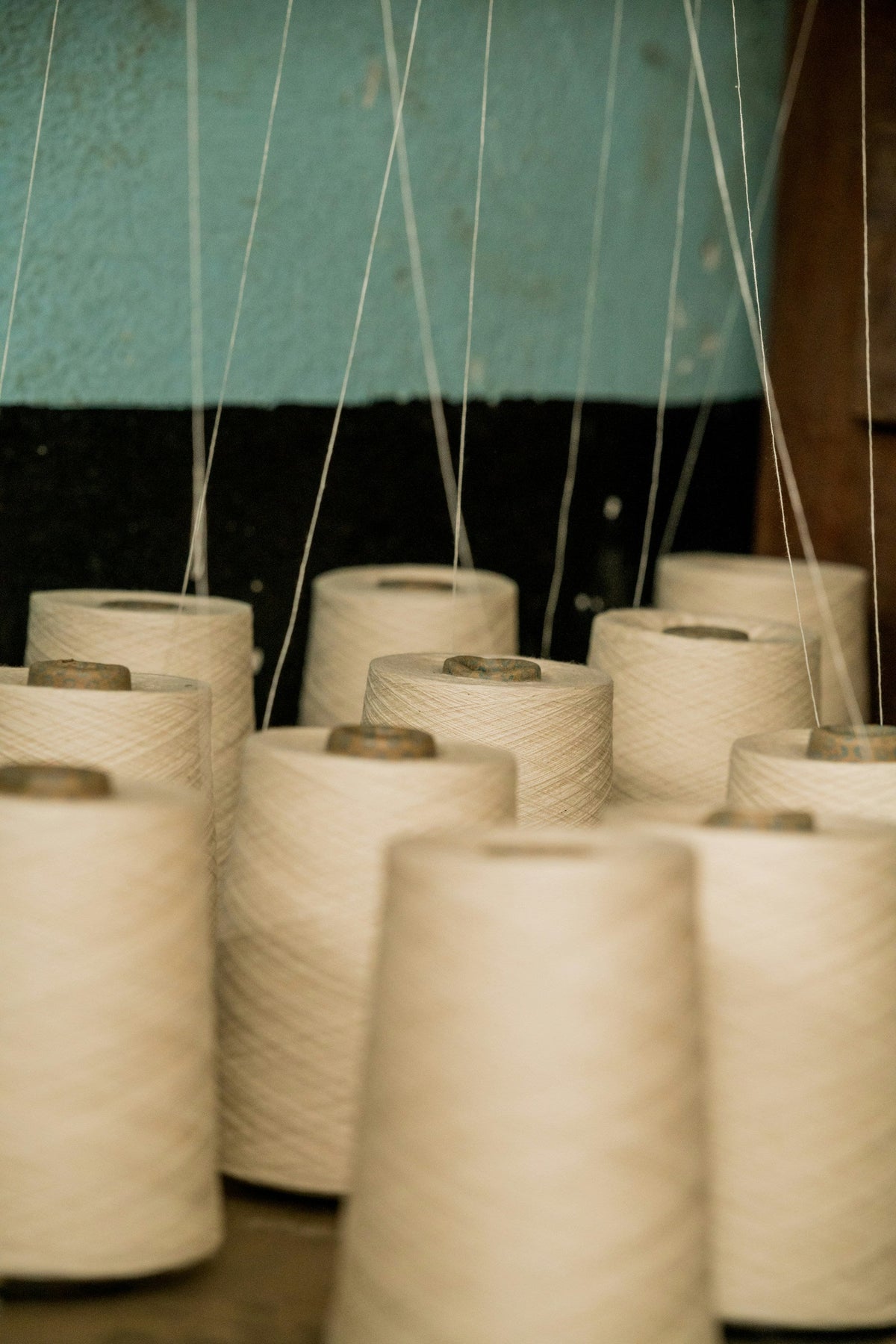 4 secretos de la ingeniería textil que redefinen la calidad del algodón